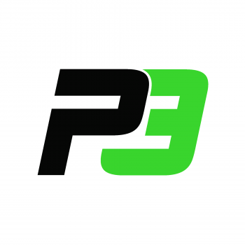 P3 GLOBAL SERVICES